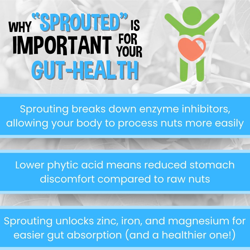 Brothers Nuts Garlic Salty Walnuts – Organic, Sprouted Walnuts –