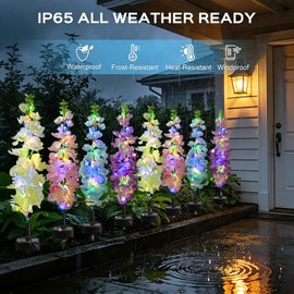 TANSOREN 2 Pack Solar Garden Lights Outdoor, LED Colorful Waterproof Solar Powered Hyacinth Flowers Landscape Lights for Patio, Outside Yard, Pathway Decorative, Décor, Gifts, Two Lighting Modes