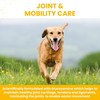 Vetzyme Flexible Joint Supplements for Dogs (30 Tablets) - Hip