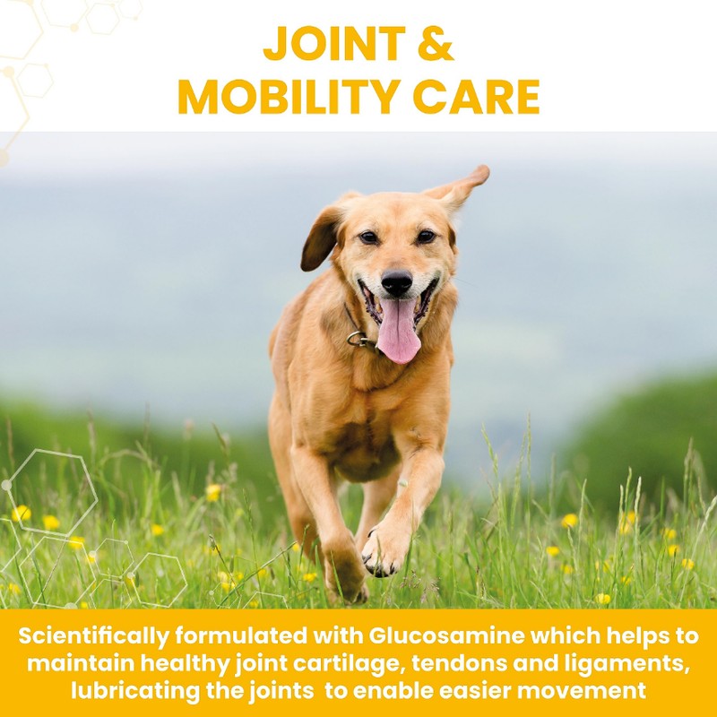 Vetzyme Flexible Joint Supplements for Dogs (30 Tablets) - Hip