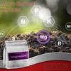 KALIX Magnesium Sulfate Fertilizer | 100% Water-Soluble Epsom Salt |