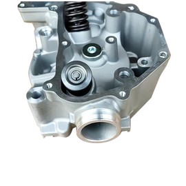 Cylinder Head Valves Kit Replacement for Honda Rancher 420 2009-2020 Pioneer 2015-2023 Foreman Rubicon 500 2006-2024 12200-HP7-A01 12200HP7A01 Mustrod