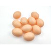 Fake Eggs Artificial Plastic Eggs Nesting Eggs for Chickens Pack