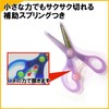 Kutsuwa STAD Scissors Kitchon Purple SS112PU