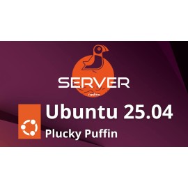 Ubuntu Server 25.04 Plucky Puffin USB Flash Drive