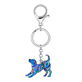 DALANE Cute Acrylic Dog Mom Gifts for Women Girls Labrador Keychain Keyring Boho Gifts for Dog Lovers Car Keys Accessories (Blue)