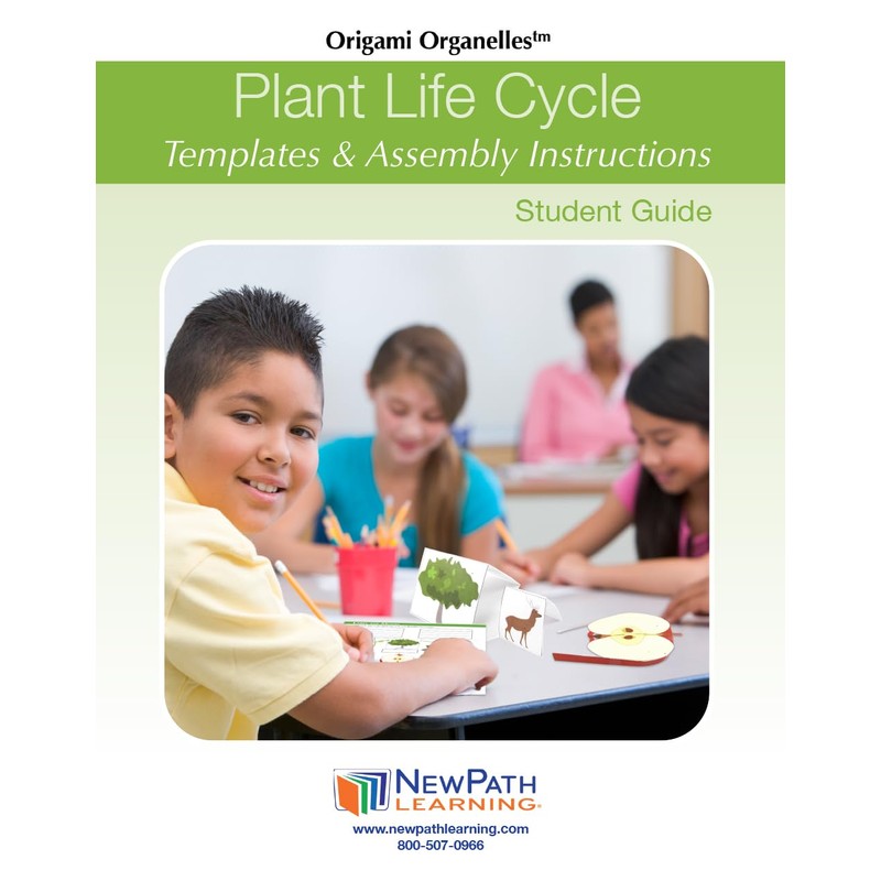 NewPath Plant Life Cycle 3-D Paper Model Making Kit, Set/5
