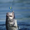 Bass Spinner Baits,Rotating Lures for Angling | Multifunctional Colorful Rotating
