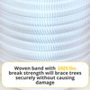 White Tree Tie Webbing Strap 3/4" x 250' - Heavy