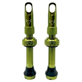 Hold Fast Cycling Tubeless Valve Stem, 42mm (Pair), Green - 42GRNI