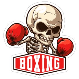 Boxing Sport Sticker Decal Vinyl Small Waterproof for Water Bottle Mug Passport Book Scrapbook Notebook Laptop Tumbler Skateboard Computer Phone Size Funny Gift Car Stickers ID44990