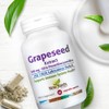 NEW ROOTS HERBAL Grapeseed Extract 500mg, 95% Polyphenols (Proanthocyanidins) (60