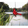 HAOSUM Red Cardinal Gifts Bird on Branch Stained Glass Window