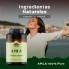 TIBET NATURA - Amla 60 Cápsulas 500 mg c/u -