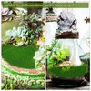 8 Pcs Sheet Artificial Moss Round Area Rug Terrarium Moss