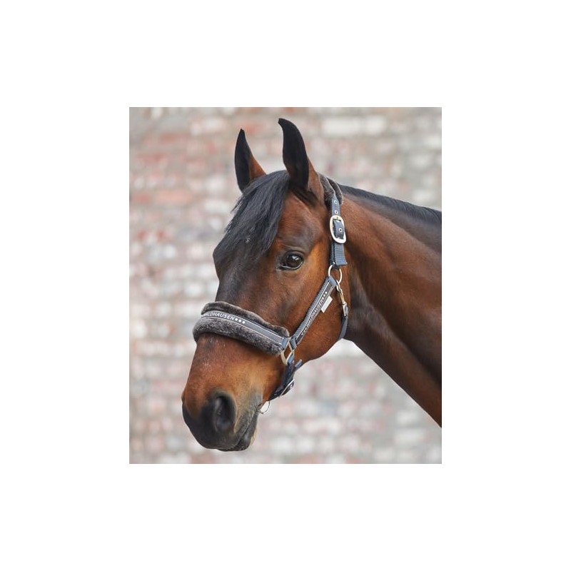 Waldhausen Elegant Headcollar Asphalt VB