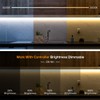 BTF-LIGHTING FCOB COB LED Strip CCT IP65 Flexible High Density