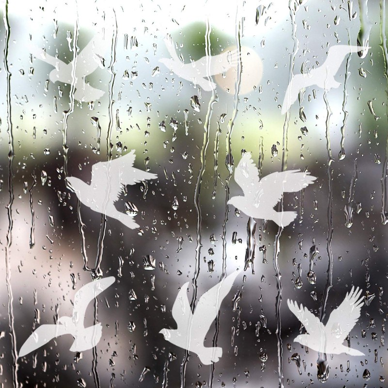 Boao 40pcs Large Anti Collision Window Stickers Bird Window Stickers