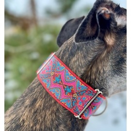 Martingale Dog Collar for Greyhound Saluki Whippet and Other Breeds with Similar Neck 2" Wide (11"-14")