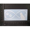 Cat Decal 4 Pack: Cat Pawing, Kitten Looking, Love, Infinity
