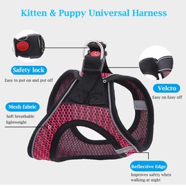 Dog Harness and Leash Set for Walking, Breathable Lightweight Soft Mesh Step-in Puppy Cat Dog Vest Harnesses, Reflective & Adjustable Harness Escape Proof for Small Medium Dogs Cats