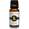 Malibu Rum Cupcakes Premium Grade Fragrance Oil - 10ml -