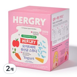 Hulgri Yogurt Lactobacillus Smoothie, 350g, 2 pieces / 헐그리 요거트 유산균 스무디, 350g, 2개