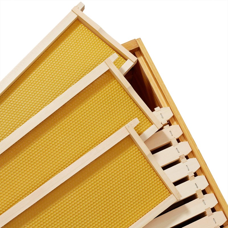 Honey Keeper 10 Assembled Beehive Frames with Waxed Natural Foundations