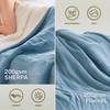 Cozorbt Heat Blanket 84”x90” Queen Size-Dual Control，Soft Flannel & Sherpa