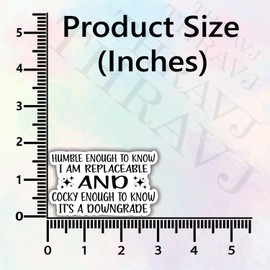 (3Pcs) Humble Enough to Know I'm Replaceable Cocky Enough to Know It's A Downgrade Funny Quotes Vinyl Stickers Durable for Laptops Water Bottles Phones Tumblers Notebooks Cars Mugs Size 1.8 x 3 Inch