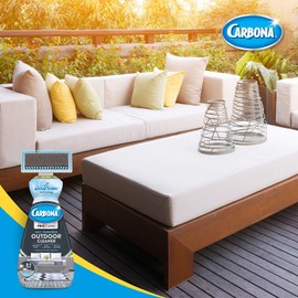 Carbona Pro Care 2-in-1 Oxy Powered Outdoor Cleaner with Active Foam Technology | 22 Fl Oz, 2 Pack