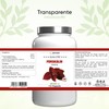 Forskolin Extract - 120 Capsules - 4 Month Supply -