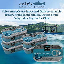 Cole’s Patagonian Smoked Mussels Canned in Extra Virgin Olive Oil | 4oz Hand-Packed Tinned Mussels | 14g Protein | Pack of 5