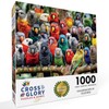 Cross & Glory - Kaleidoscope of Feathers - 1000 Piece