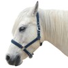 Gallopoff Headcollar for Horses, Thickened Adjustable Headcollar, Horse Halter, Durable