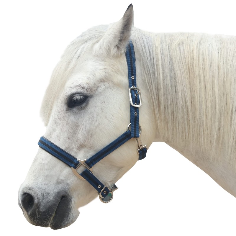 Gallopoff Headcollar for Horses, Thickened Adjustable Headcollar, Horse Halter, Durable