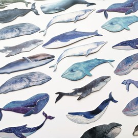 MiroSan 30 Piece Cute Blue Whale Bookmarks Set for Kids Students Teachers Paper Bookmark for Book Lovers