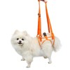 Paralyzed Dog Harness with Hind Leg Support - Small Sized