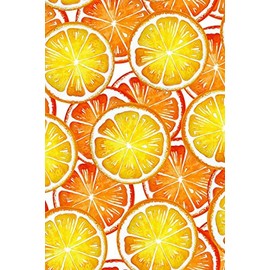 Oranges Notebook: Dot Grid Journal, Softcover (6x9 inches) with 120 Pages