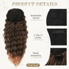 PEACOCO Ponytail Extension 20inch Long Synthetic Drawstring Ponytail Afro Curly