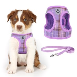 KOOLTAIL Dog Harness and Leash Set for Small Medium Dogs, Step in No Pull Soft Mesh Dog Harness Comfort Padded Pet Vest, Adjustable Reflective Easy Walking Puppy Cats Harness Training, Plaid Purple XS
