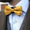 Barry.Wang Gold Bow Tie Set Men Paisley Silk Pre-Tied Bowtie