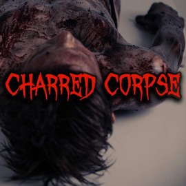 1 oz. Oil Based Scent Refill for Scent Distribution Cups (1 oz. Charred Corpse)