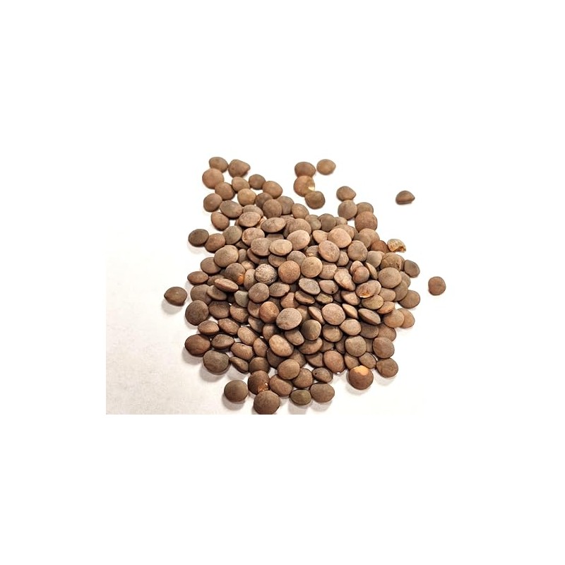 Organic Red Lentils - 600g