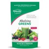 Morlife Alkalising Greens® Berry Burst 200g