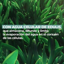 Yves Rocher Mascarilla Facial Hidratante SOS - Mascarilla de Crema Fundente con Planta Edulis - Todo Tipo de Piele - Aporta Frescura, Confort y...    