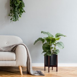 D'vine Dev Planter Pot with Stand - 10 Inch Plastic Cylinder Flower Pot with Wood Planter Holder for Indoor, Black, 55-C-X-2