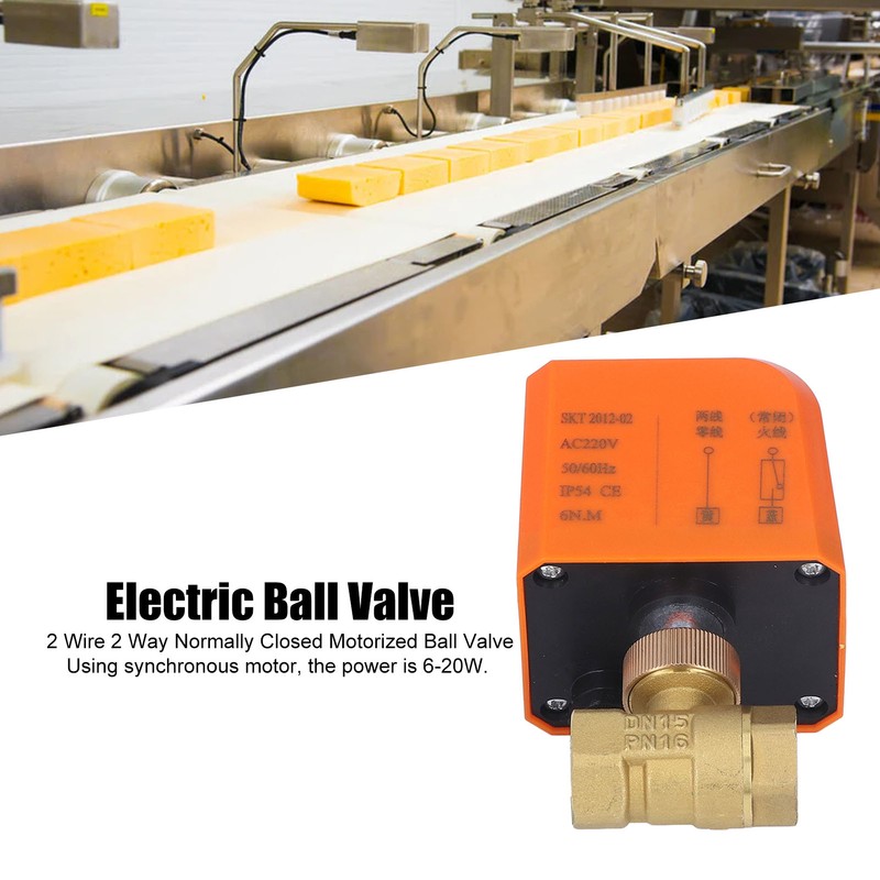 Motorized Ball Valve 2 Wire 2 Way Normally Closed DN15