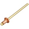 Connex COXT197306 Copper/Bronze Blind Rivets, Brown/Gold, 3.2 x 6 mm,