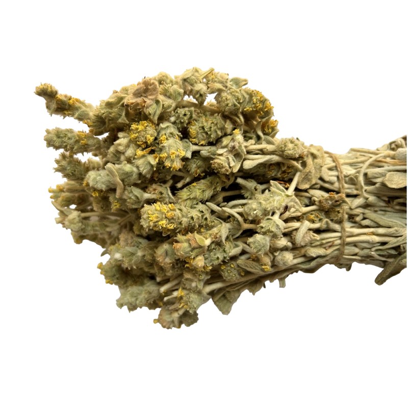 Greek Mountain Tea Malotira Sideritis Syriaca - 460 Grams